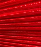 Red Light Therapy Training